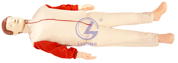 高級(jí)全自動(dòng)電腦心肺復(fù)蘇模擬人